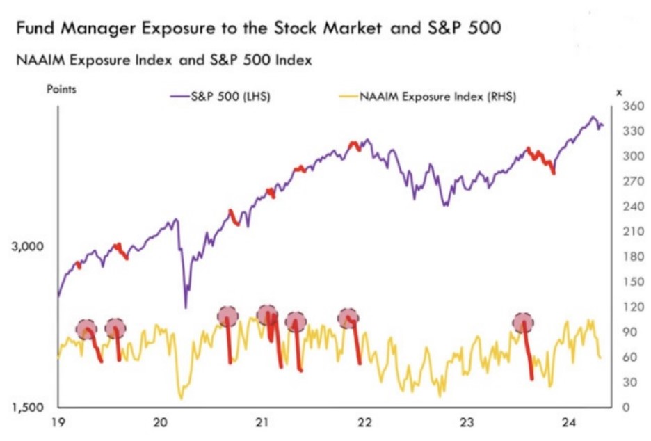 График Fund Manager Exposure to the Stock Market and S&P500 картинка